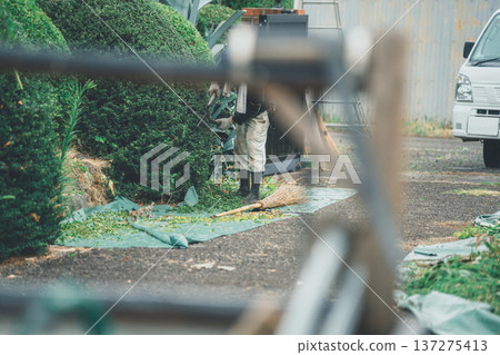 pruning, male, males 137275413