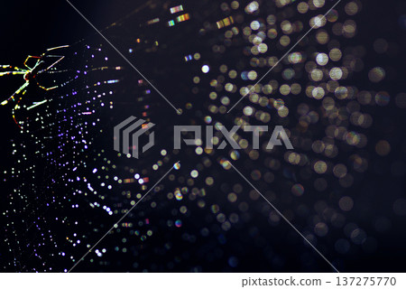 彩虹色蜘蛛網的美麗 137275770