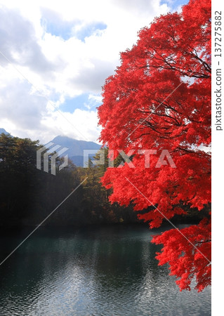 裡盤台五色沼毗沙門湖的秋葉 裡盤台五色沼毗沙門湖的秋葉 137275882