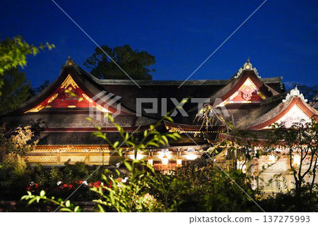 The illuminated shrine building of Kitano Tenmangu Shrine The illuminated shrine building of Kitano Tenmangu Shrine 137275993