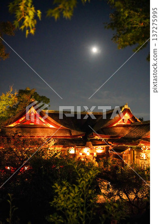 The illuminated shrine building of Kitano Tenmangu Shrine The illuminated shrine building of Kitano Tenmangu Shrine 137275995