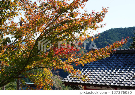 鞍馬寺內的秋葉 137276080