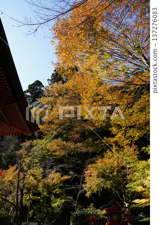 鞍馬寺內的秋葉 鞍馬寺內的秋葉 137276083