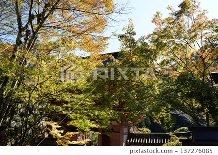 鞍馬寺內的秋葉 鞍馬寺內的秋葉 137276085
