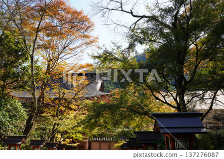 Autumn leaves in the grounds of Kurama Temple Autumn leaves in the grounds of Kurama Temple 137276087