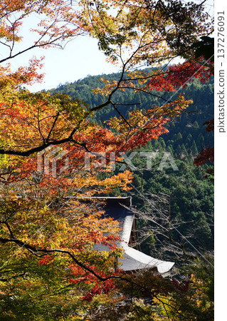 鞍馬寺內的秋葉 137276091