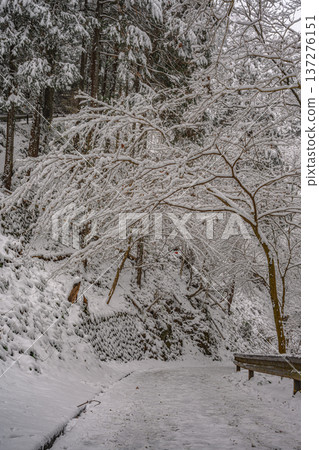 雪(高尾山路線1) 雪(高尾山路線1) 137276151