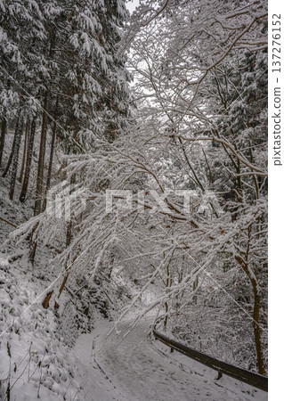 雪(高尾山路線1) 雪(高尾山路線1) 137276152