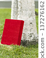 Birch and red book 137276162