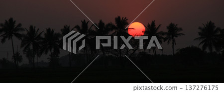 Stunning sunset scene in Basapur, India. 137276175