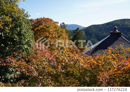 從鞍馬寺眺京都群山。 137276228