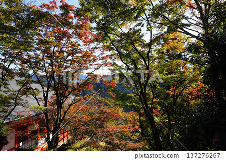 鞍馬寺內的秋葉 137276267