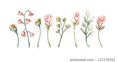Cute Meadow Flowers Buds Berries. Wildflowers Watercolor summer spring floral illustration hand painted isolated on white background for nursery baby kids design fresh prints cards posters textile 137276502