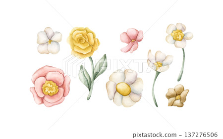 Cute Colourful Meadow Flowers. Wildflowers Watercolor summer spring bloom floral illustration hand painted isolated on white background for nursery baby kids design fresh prints cards posters textile 137276506