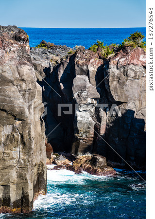Jogasaki Coast [Ito City, Shizuoka Prefecture] 137276543