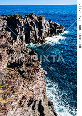Jogasaki Coast [Ito City, Shizuoka Prefecture] 137276547