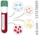 Blood Sample Analysis - Blood Tube with Red and White Blood Cells, Platelets, and Plasma 137276695
