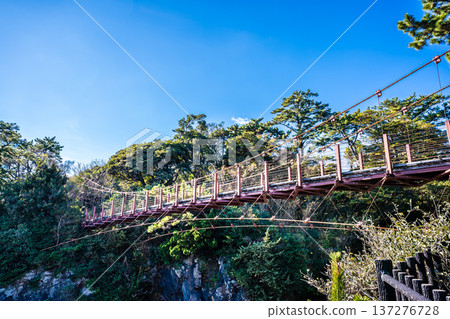 Jogasaki Coast Kadowaki Suspension Bridge [Ito City, Shizuoka Prefecture] 137276728