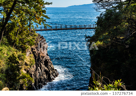 Jogasaki Coast Kadowaki Suspension Bridge [Ito City, Shizuoka Prefecture] 137276734