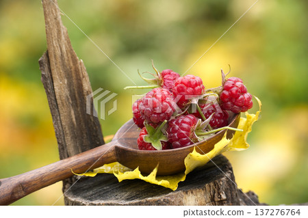 Fresh Red Raspberries in a Rustic Wooden Spoon on a Weathered Log with Autumn Leaves Fresh Red Raspberries in a Rustic Wooden Spoon on a Weathered Log with Autumn Leaves 137276764
