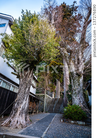 修善寺黎明：日枝神社【靜岡縣伊豆市】 137276890