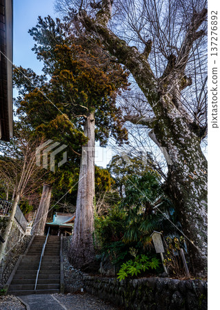 修善寺黎明：日枝神社【靜岡縣伊豆市】 137276892