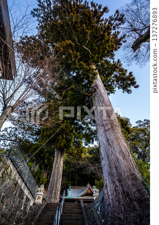修善寺黎明：日枝神社【靜岡縣伊豆市】 137276893