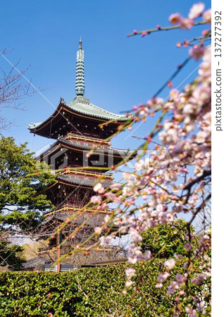 五層寶塔，四周環繞著紅色梅花 137277392