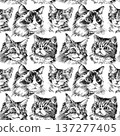 Seamless cat pattern with different breeds in black and white pencil style. Hand drawn repeating illustration featuring Sphynx, Maine Coon, Exotic and Ragdoll cats, decorative animal background. High 137277405