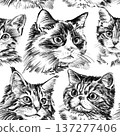 Seamless cat pattern with different breeds in black and white pencil style. Hand drawn repeating illustration featuring Sphynx, Maine Coon, Exotic and Ragdoll cats, decorative animal background. High 137277406