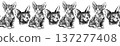 Seamless border pattern with Sphynx cats in black and white pencil style. Hand drawn repeating illustration of hairless kittens with big ears and expressive eyes, decorative animal design isolated 137277408