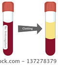 Blood Serum Separation Process - Blood Clotting in Test Tube without Anticoagulant 137278379