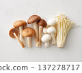 白色背景上的各種新鮮蘑菇 137278717