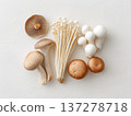 白色背景上的蘑菇靜物照片 137278718