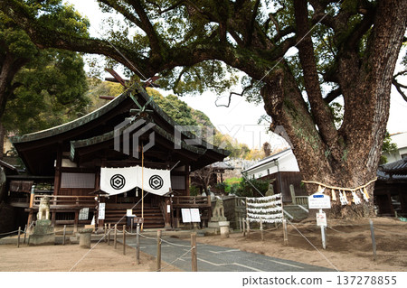 廣島神社:通往尾道權神社的道路及其靜謐 廣島神社:通往尾道權神社的道路及其靜謐 137278855