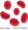 Group of Red Blood Cells Erythrocytes Illustration 137279381