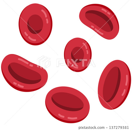 Group of Red Blood Cells Erythrocytes Illustration Group of Red Blood Cells Erythrocytes Illustration 137279381