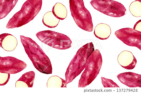 Hand-painted watercolor illustration background material of sweet potato Hand-painted watercolor illustration background material of sweet potato 137279428