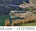 Lake Matsukawa 137279505
