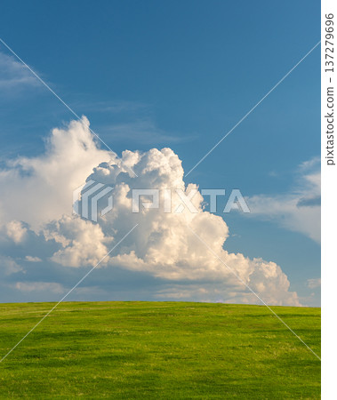 A picture-perfect blue sky and grass A picture-perfect blue sky and grass 137279696