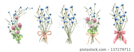 Wildflower bouquet set. Watercolor Field pink clover, blue chicory flowers, buds, meadow wild herbs tied with bow. Bunch of summer greenery. Hand drawn illustration on Isolated white background 137279711