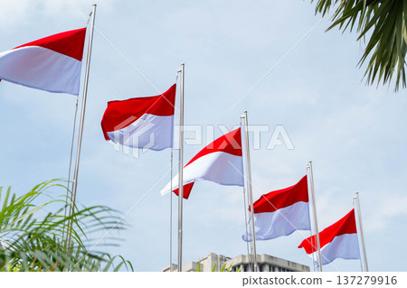 Indonesian flag hoisted under a blue sky / Red and white flag symbolizing the nation Indonesian flag hoisted under a blue sky / Red and white flag symbolizing the nation 137279916