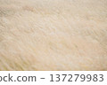 A field of silver grass swaying in the wind, autumn natural scenery 137279983