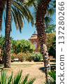 Ciutadella Park palm trees garden in Barcelona, Spain 137280266