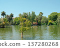 Ciutadella Park Lake boating scenery in Barcelona, Spain 137280268