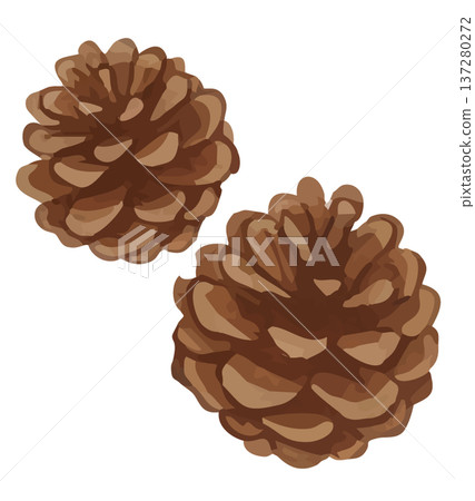 Illustration of pine cone Illustration of pine cone 137280272