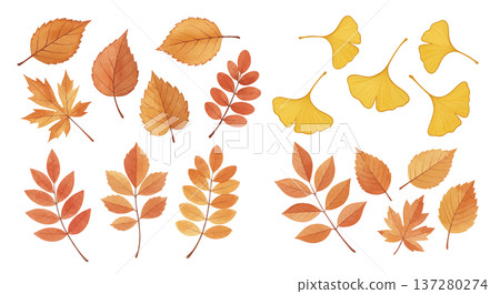 Various autumn leaves 137280274