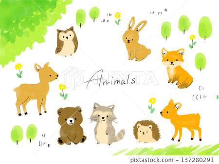 可愛的森林動物插畫集 可愛的森林動物插畫集 137280291