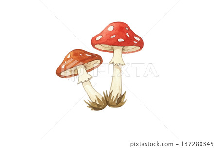 紅蘑菇 137280345
