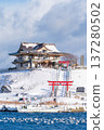 青森縣八戶市海獅繁殖地歌島的雪景 137280502